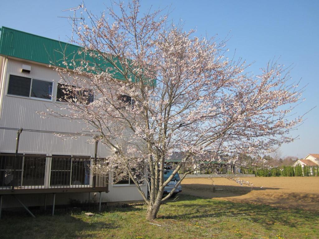 Narita Airport Hostel Shibayama Экстерьер фото